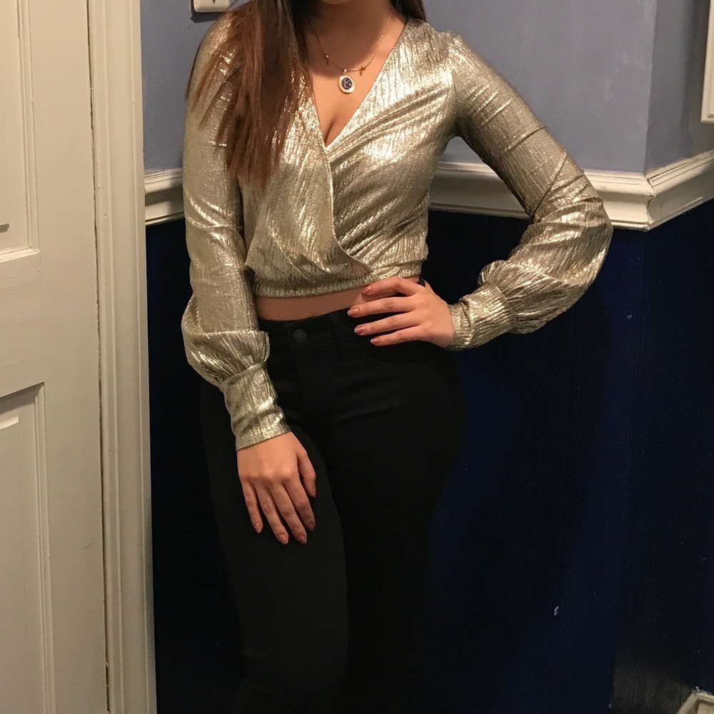 Shimmery Zara Cropped Blouse